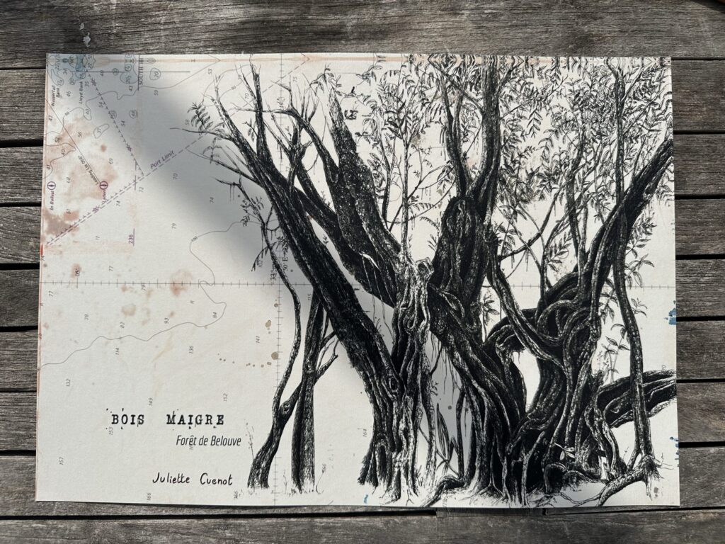 Tirage sur papier d'art - Bois maigre